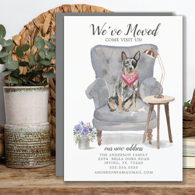 Faire-part de déplacement de chien de bétail austr (Créateur téléchargé)