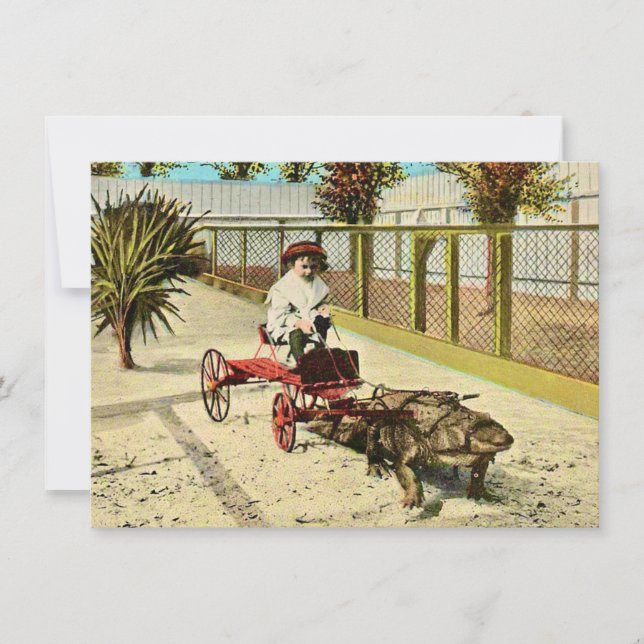 Faire-part de déplacement habile Floride Alligator (Devant)