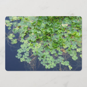 Faire-part de mariage de fermeture du printemps ir