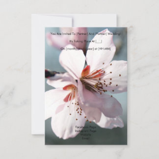 Faire-part de mariage de fleurs de cerise en fleur