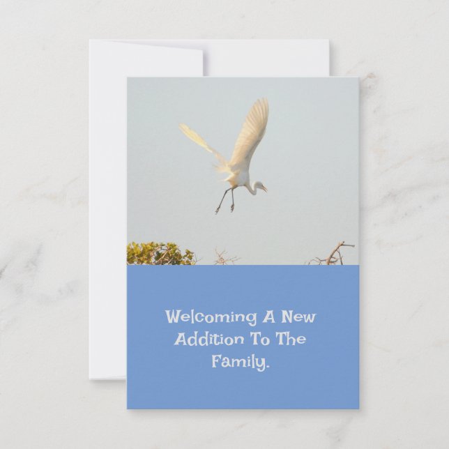 Faire-part de naissance Avec Flying Stork. (Devant)