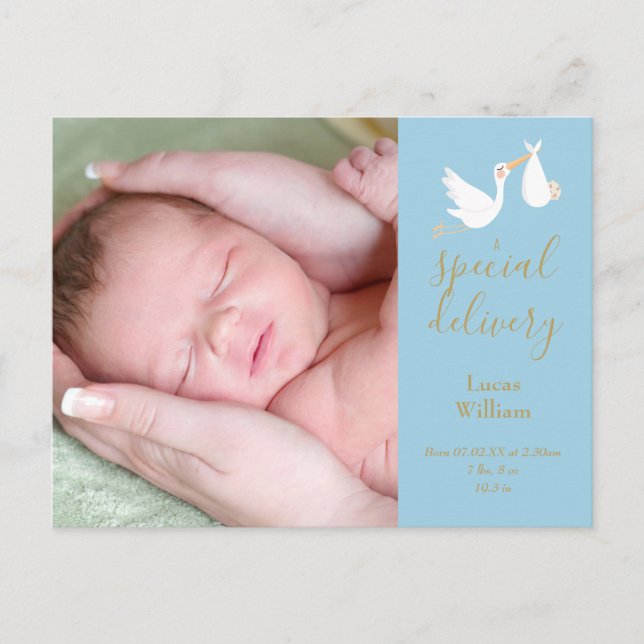 Faire-part de naissance Bébé garçon cigogne livrai (Devant)