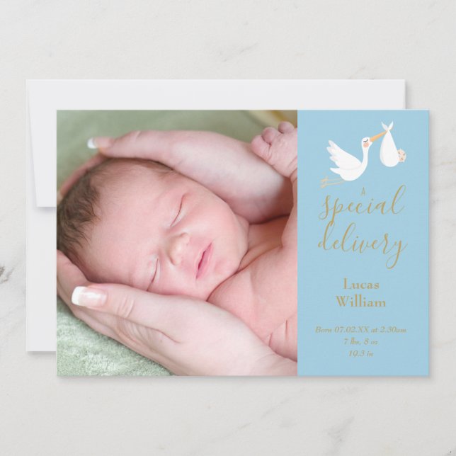 Faire-part de naissance Bébé garçon cigogne livrai (Devant)