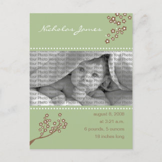 Faire-part de naissance bébé Sage Green Branche De
