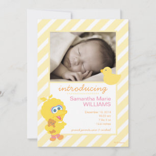 Faire-part de naissance de Big Bird