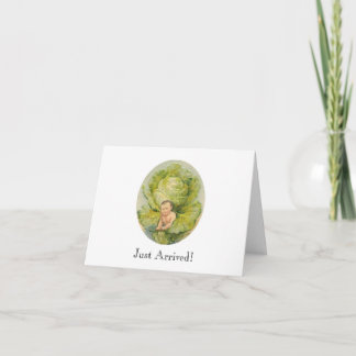 Faire-part de naissance de chou