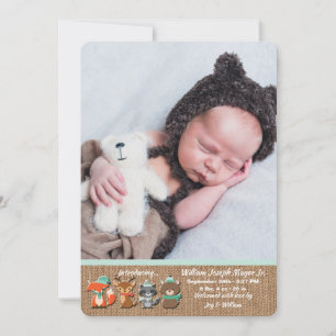 Faire-part de naissance de photo d'animaux de