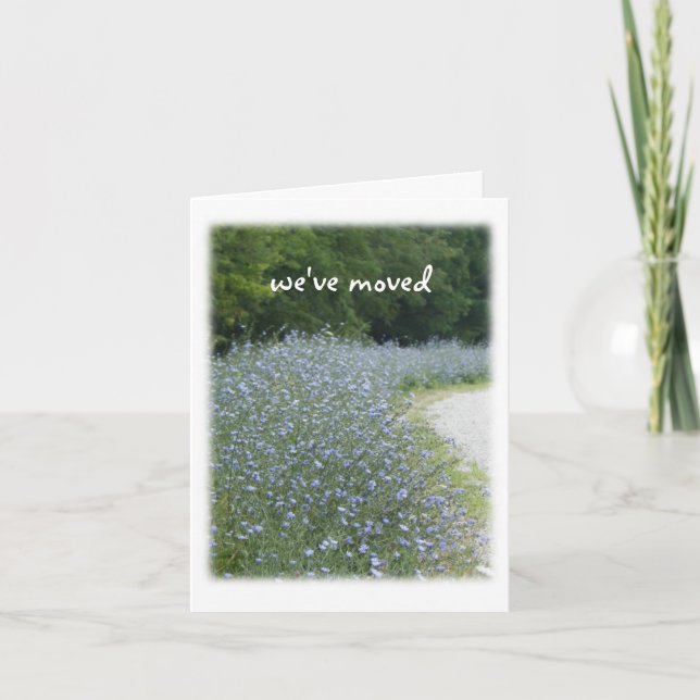 Faire-part Déplacement des fleurs chicorées (Devant)