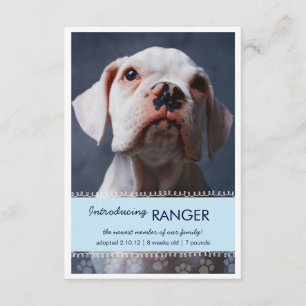 Faire-part Empreintes de pattes bleus masculins de nouvel