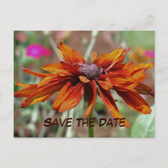 Faire-part Enregistrer La Carte Postale Date Flower Photocard (Devant)