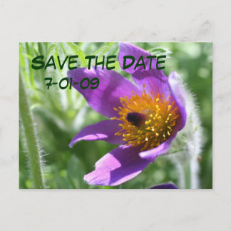 Faire-part Enregistrer La Carte Postale Date Pasque Flower Ph