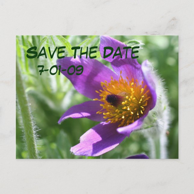 Faire-part Enregistrer La Carte Postale Date Pasque Flower Ph (Devant)