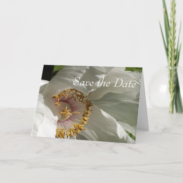 Faire-part Enregistrer la date (Devant)