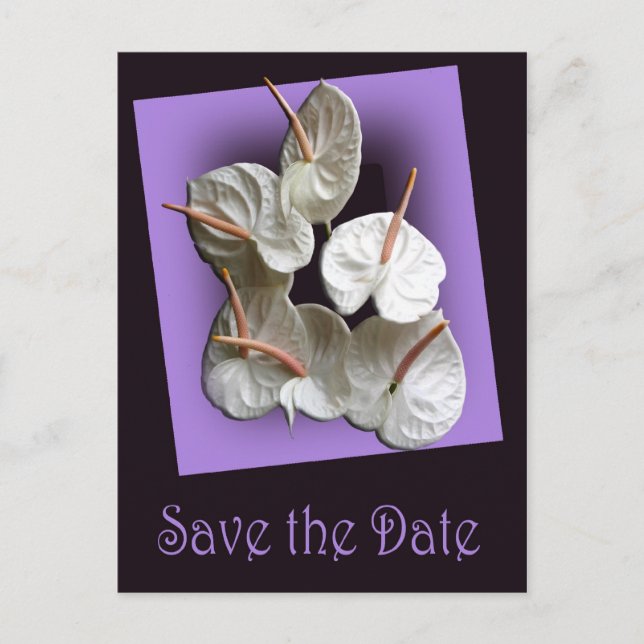Faire-part Enregistrer la date carte postale 2 - Anthuriums b (Devant)