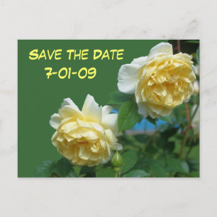 Faire-part Enregistrer La Date Carte Postale Photo Fleur Rose
