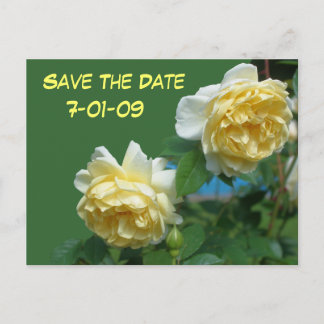 Faire-part Enregistrer La Date Carte Postale Photo Fleur Rose