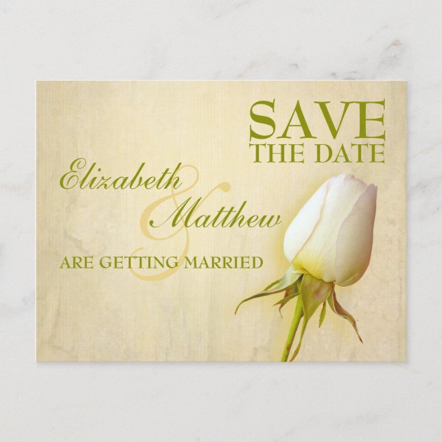 Faire-part Enregistrer la date Carte postale simple Rose blan (Devant)