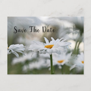 Faire-part Enregistrer la date d'anniversaire Carte postale F