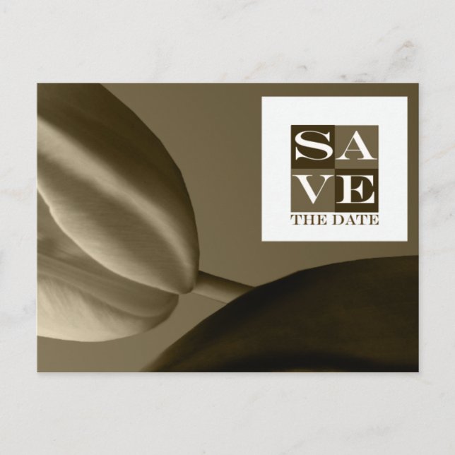 Faire-part Enregistrer L'Événement Date Et La Carte Postale M (Devant)