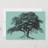 Famille Arbre Ancêtre Réunion Potluck Pique-nique