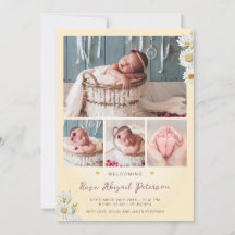 Fleur sauvage de marguerite accueil nouveau-né béb