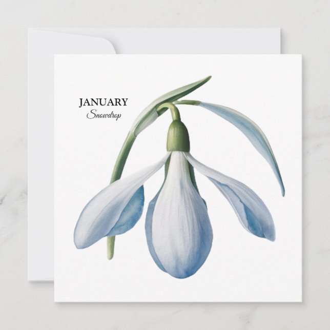 Faire-part Fleurissement de perce-neige de janvier - Cadeau p (Devant)
