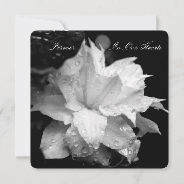 Faire-part funéraire de Clematis 2b Dewdrops (Devant)