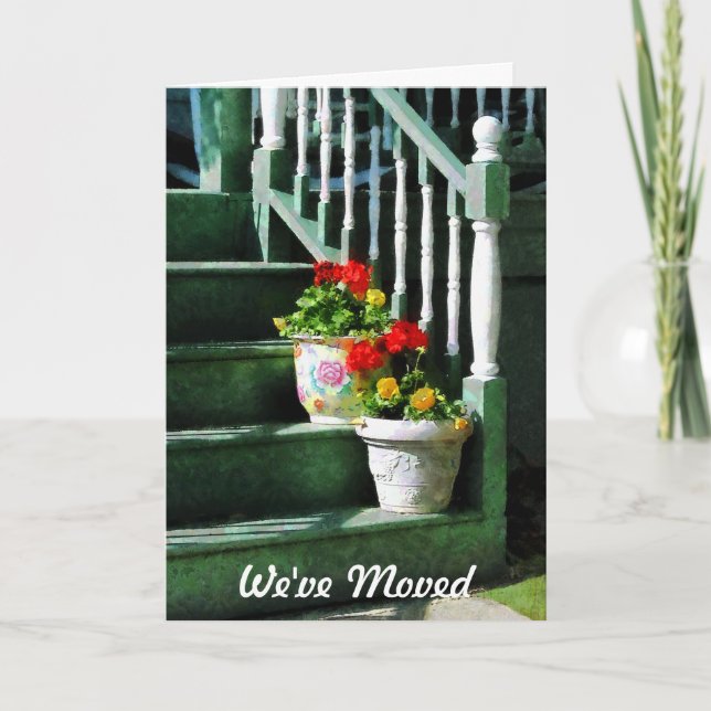Faire-part Geraniums et Pansies sur les marches - We've Moved (Devant)