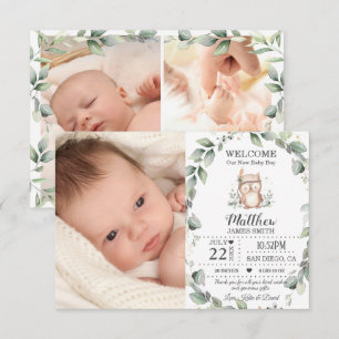 Faire-part Jolie chouette de verdure Nouveau bébé garçon Coll
