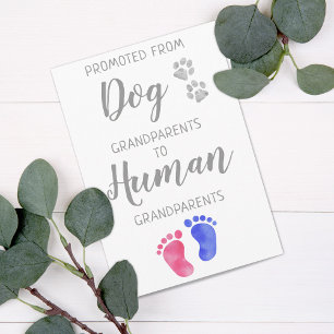 Faire-part Jolie Grossesse Des Grands-Parents Du Chien
