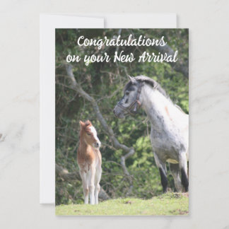 Faire-part Le nouvel arrivée