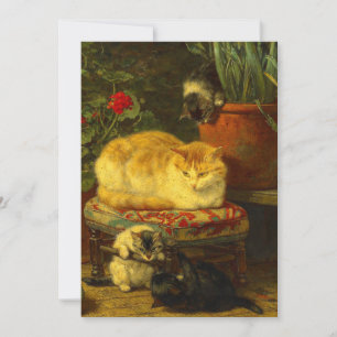 Faire-part Les chatons en jeu
