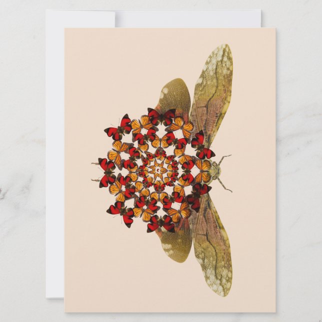 Faire-part Mandala de vol à lanterne et papillon (Devant)