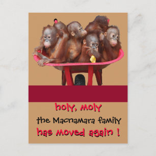 Faire-part mobile d'adresse d'amusement nouveau