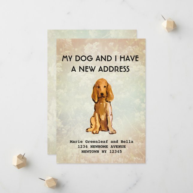 Faire-part Moi et mon chien avons déménagé Annonce (Devant/Arrière en situation)