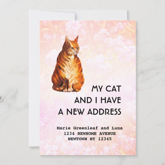 Faire-part Mon chat et moi avons déménagé Annonce (Devant)