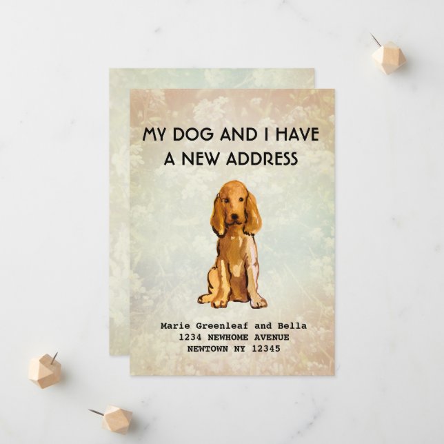 Faire-part Mon chien et moi avons déménagé Annonce (Devant/Arrière en situation)