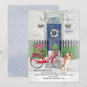 Faire-part Moving Cavalier King Charles Bicycle Nouveau Accue