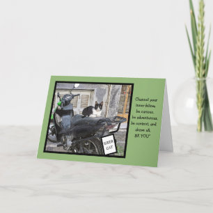 FAIRE-PART NAISSANCE/VÉLO CAT/PERSONNALISABLE