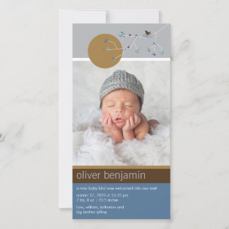 Faire-part Nesting Bird Family Simple Baby Boy Photo Naissanc
