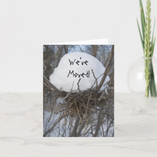 Faire-part Nid d'oiseaux d'hiver Changement d'adresse