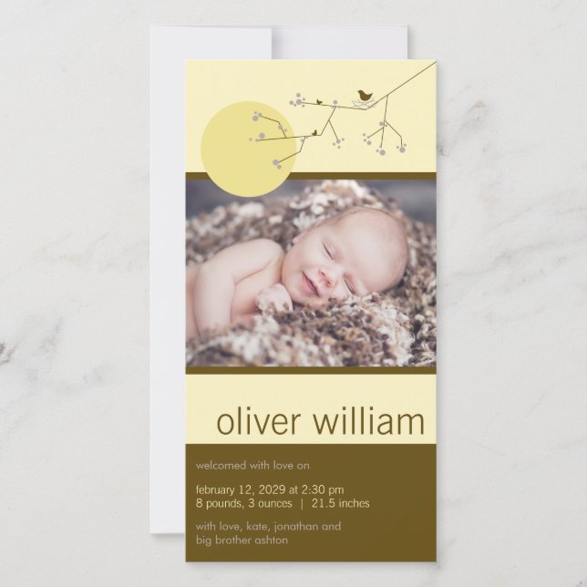 Faire-part Nidification Oiseau Famille Garçon Ou Fille Bébé P (Devant)