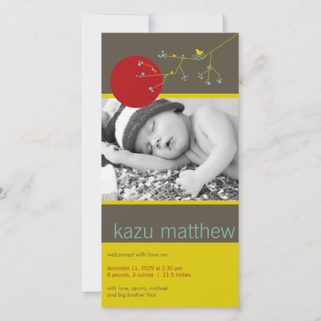 Faire-part Nidification simple Bird & Family Baby Boy Photo B (Devant)