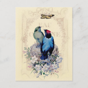 Faire-part Notre première maison