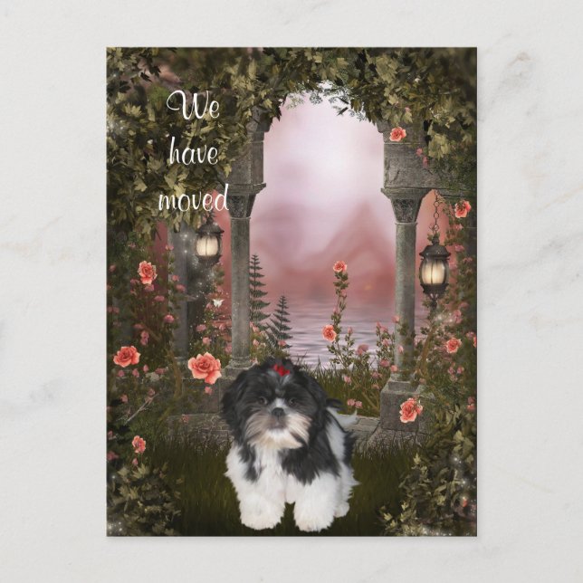 Faire-part "Nous avons déménagé" Carte Postale Shih Tzu (Devant)