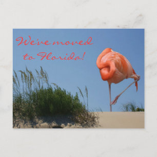 Faire-part Nous avons déménagé en Floride ! Carte postale de