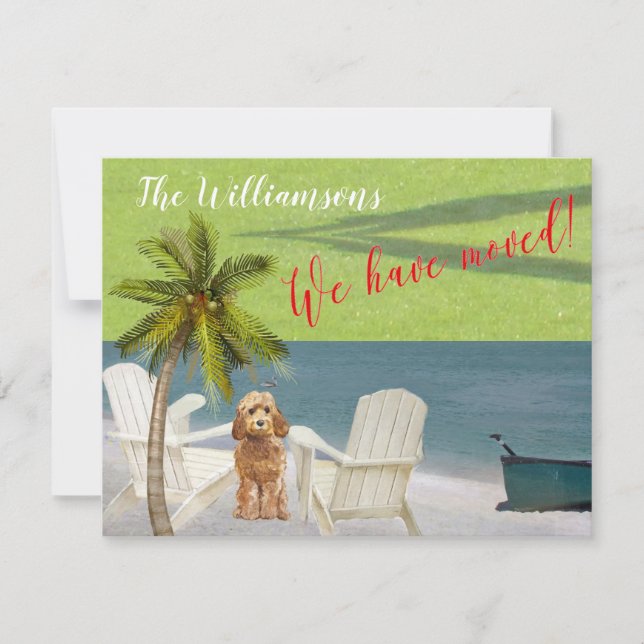 Faire-part Nous avons déplacé Chien Ocean Beach Budget Bouger (Devant)