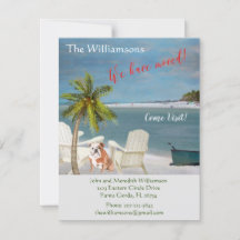 Nous avons déplacé Chien Ocean Beach Budget Bouger