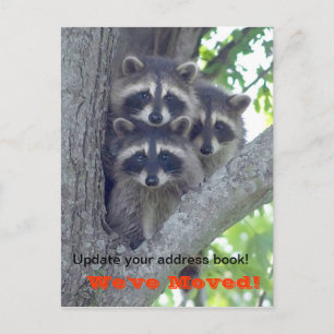 Faire-part Nous avons Déplacé la carte postale (Raccoons dans