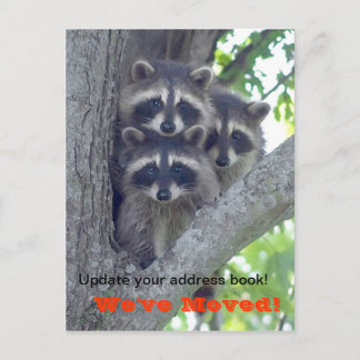 Faire-part Nous avons Déplacé la carte postale (Raccoons dans